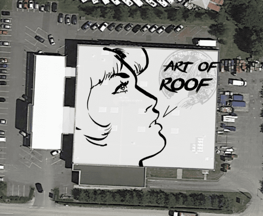 cool roof savoie image de ref